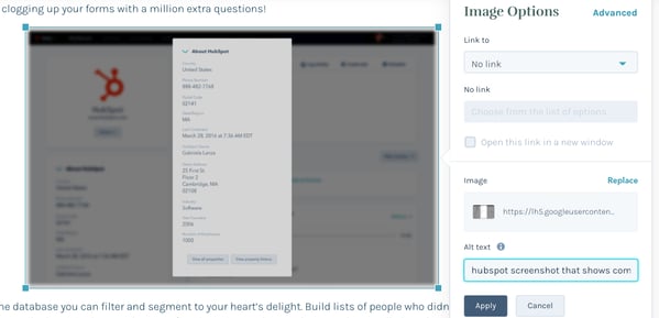 HubSpot screenshot showing alt text
