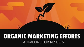 Organic Marketing Efforts: A Timeline for Results